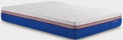 Bed in a Box Nautica Serenity 12'' Gel Memory Foam Medium Plush Mattress - California King