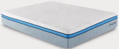 Bed in a Box Thomasville Tranquility 12-Inch Gel Memory Foam Medium Mattress - King