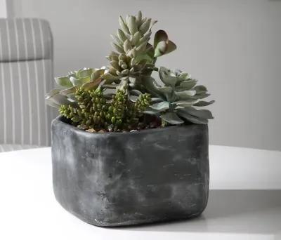 Uttermost Alverio Desert Garden Succulents