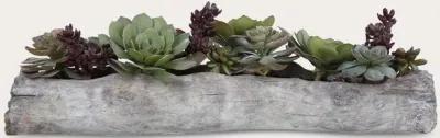 Uttermost Charita Lush Succulents