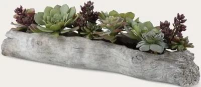 Uttermost Charita Lush Succulents