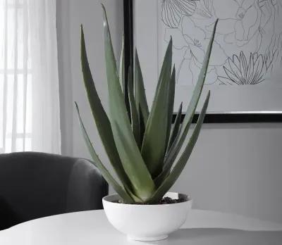 Uttermost Evarado Aloe Planter