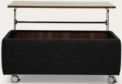 Luonto Functional Storage Coffee Table - Loule 630