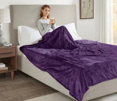 Beautyrest Heated Plush Blanket