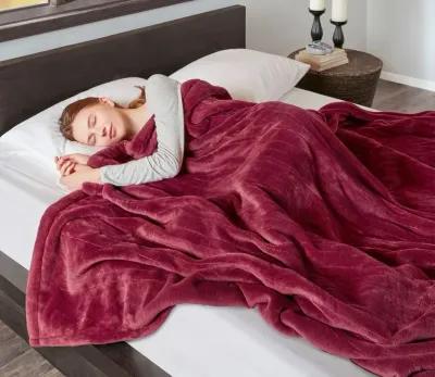 Beautyrest Heated Microlight to Berber Blanket