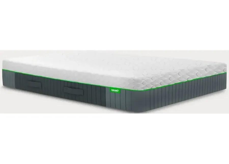 Bed in a Box Cariloha Resort Bamboo Mattress - Queen