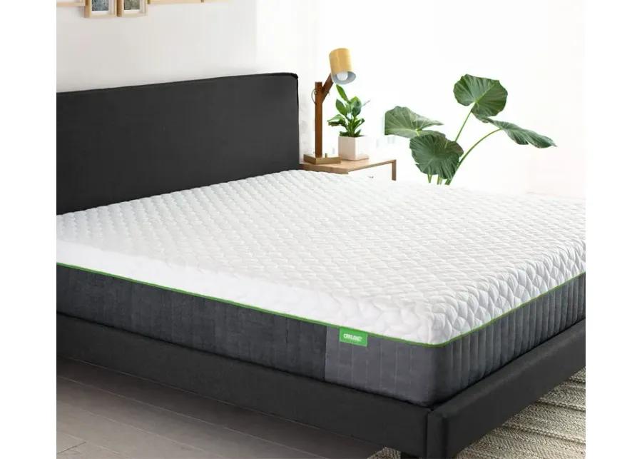 Bed in a Box Cariloha Resort Bamboo Mattress - Queen