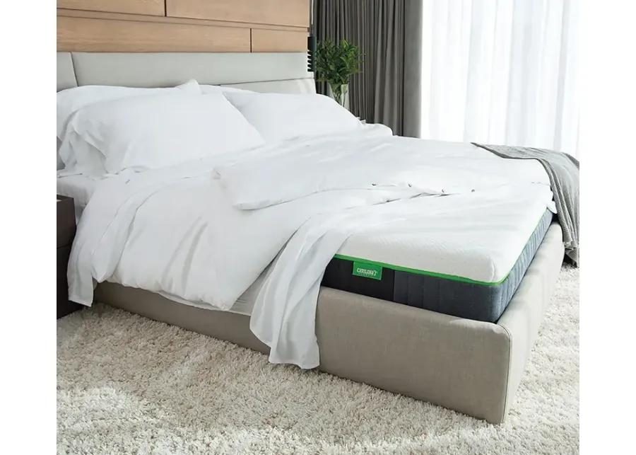 Bed in a Box Cariloha Classic Bamboo Mattress - Twin