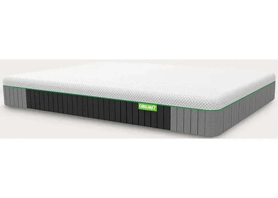 Bed in a Box Cariloha Classic Bamboo Mattress - Twin