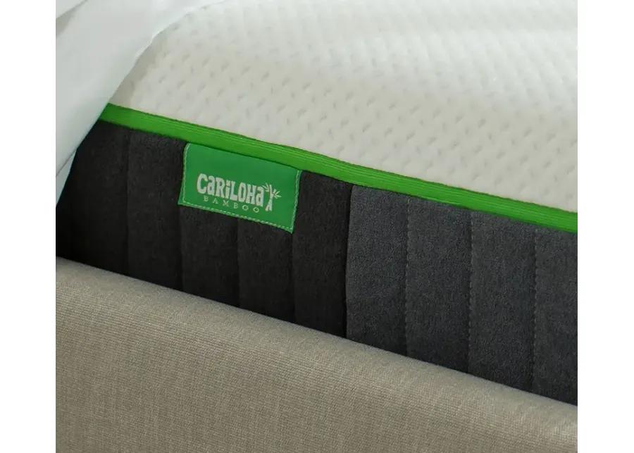 Bed in a Box Cariloha Classic Bamboo Mattress - Twin