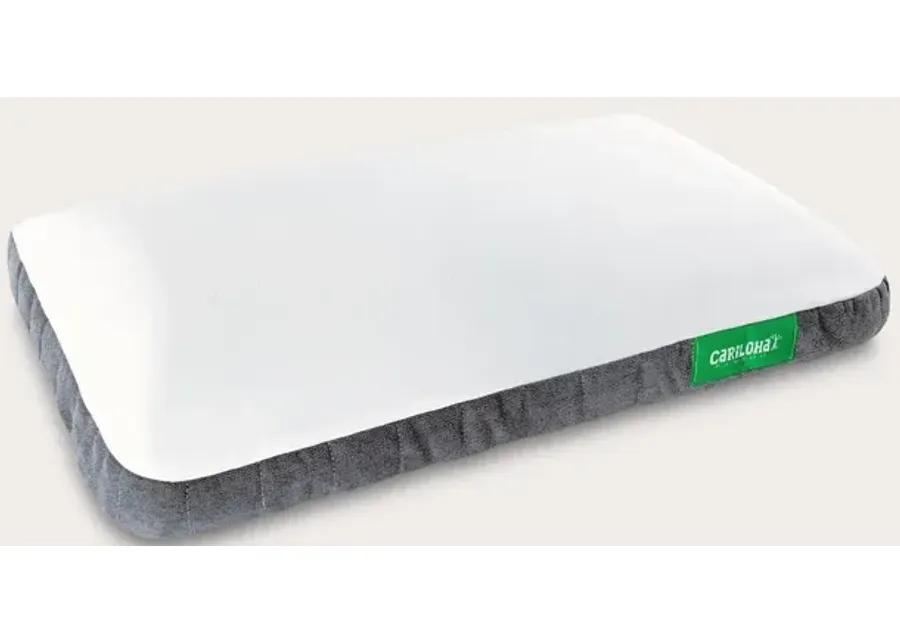 Cariloha Gel Pillow - Memory Foam - Standard