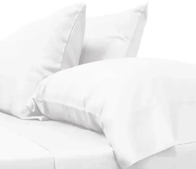 Cariloha Classic Bamboo Pillowcase Set - Tahitian Breeze - Standard