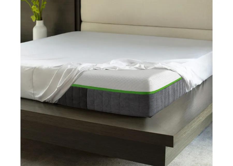 Cariloha Bamboo Waterproof Mattress Protector - Queen