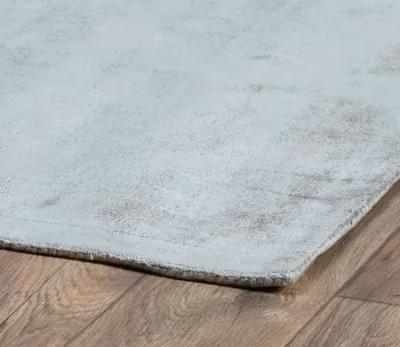 Villa by Classic Home Berlin Distressed Dove Gray Area Rug