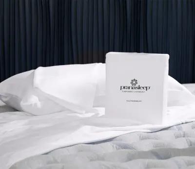 PranaSleep Maderia Lyocell White Pillowcase Set of 2 - King