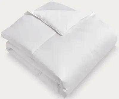 Blue Ridge Home Fashions Blue Ridge Pima Cotton European White Goose Down Comforter - Twin