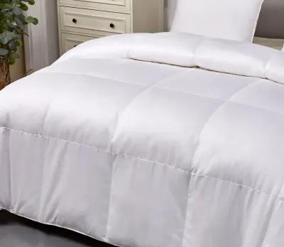 Blue Ridge Home Fashions Blue Ridge Pima Cotton European White Goose Down Comforter - Twin