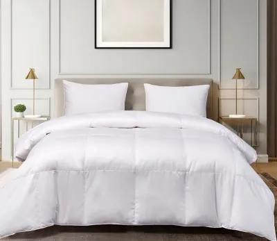 Blue Ridge Home Fashions Blue Ridge Pima Cotton European White Goose Down Comforter - Twin