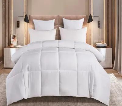 Blue Ridge Home Fashions Blue Ridge Naples Cotton Sateen Down Alternative Comforter - Twin