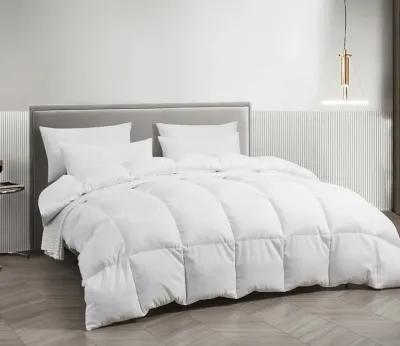 Beautyrest All Season White Feather and Down Comforter - King