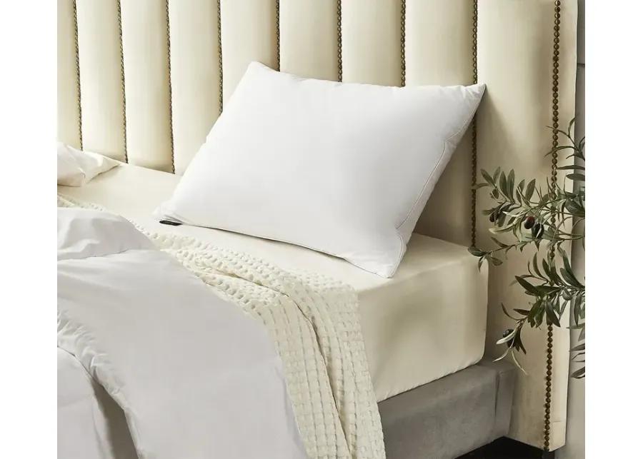 Farm To Home Organic Cotton Softy-Around White Feather and Down Pillow 2-Pack - Jumbo