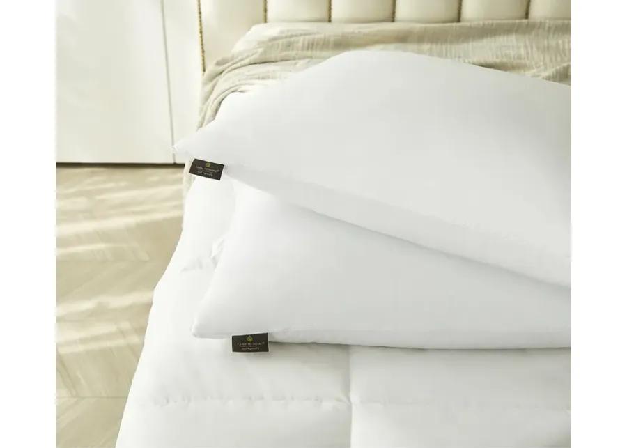 Farm To Home Organic Cotton Softy-Around White Feather and Down Pillow 2-Pack - Jumbo