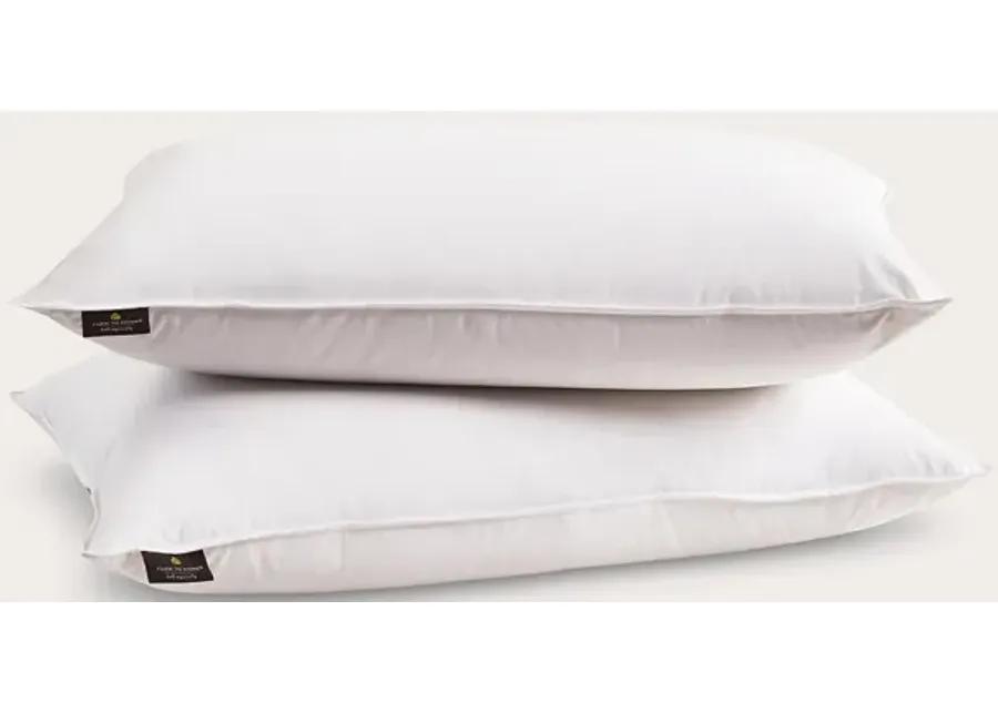 Farm To Home Organic Cotton Softy-Around White Feather and Down Pillow 2-Pack - Jumbo