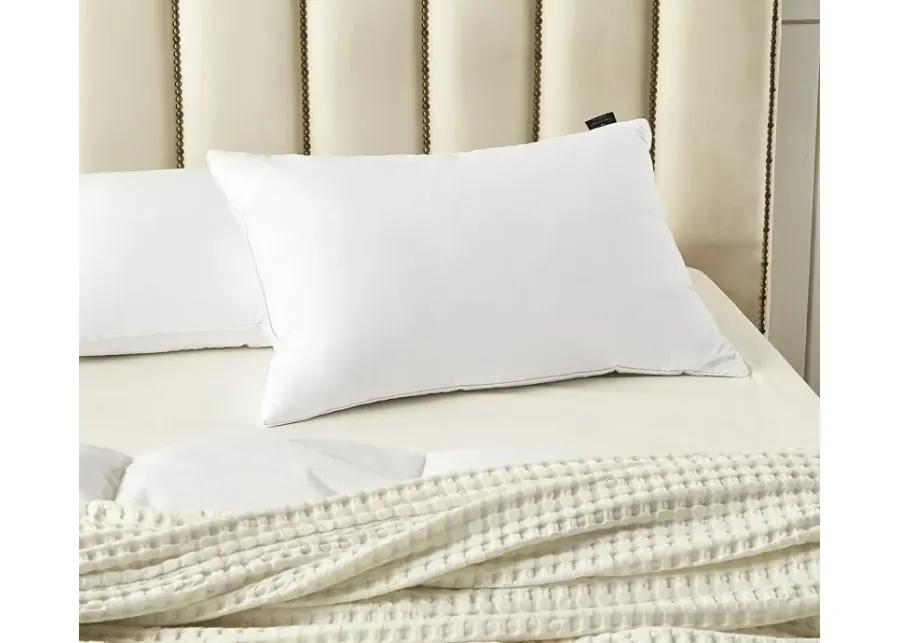 Farm To Home Organic Cotton Softy-Around White Feather and Down Pillow 2-Pack - Jumbo