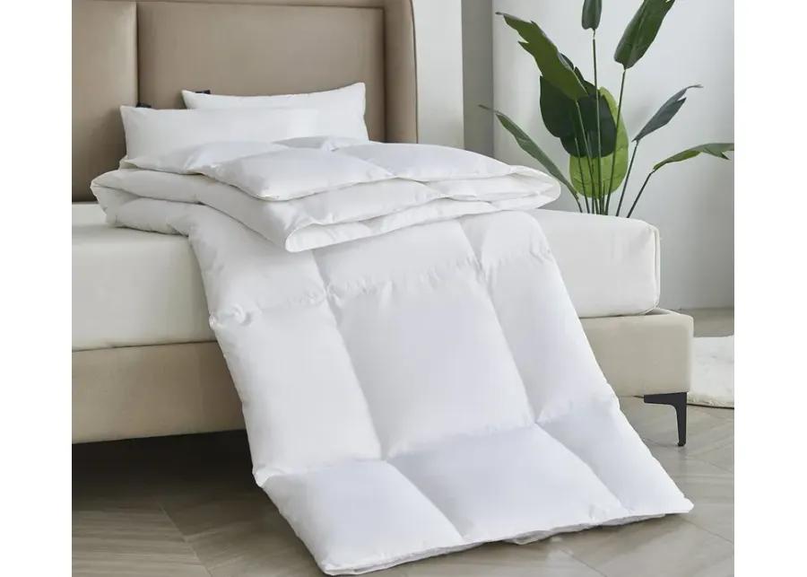 Serta All Season Polyester and Cotton Blend Goose Down Fiber Comforter - King