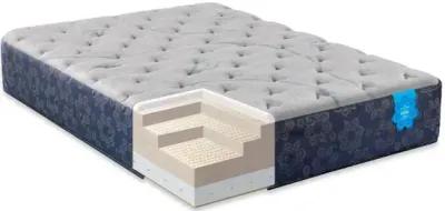 PranaSleep Asha Select Firm Mattress - Full