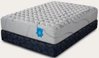 PranaSleep Asha Select Firm Mattress - Queen