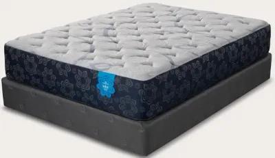 PranaSleep Asha Select Plush Mattress - Twin XL