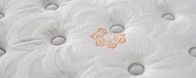 PranaSleep Karma Classic Plush Mattress - Queen