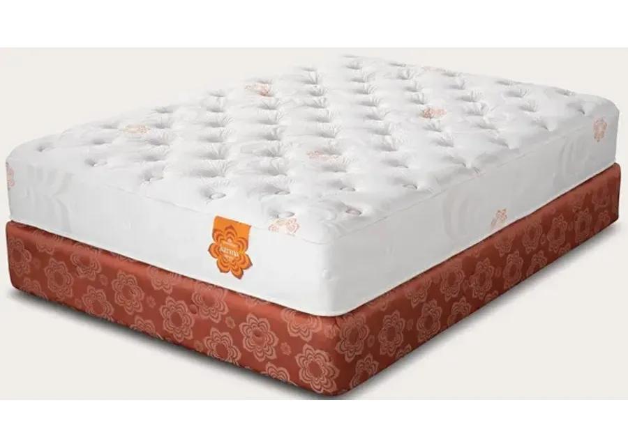 PranaSleep Karma Classic Plush Mattress - Queen