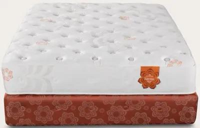 PranaSleep Karma Classic Plush Mattress - Queen