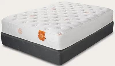 PranaSleep Karma Select 2 Hybrid Plush Mattress - Twin