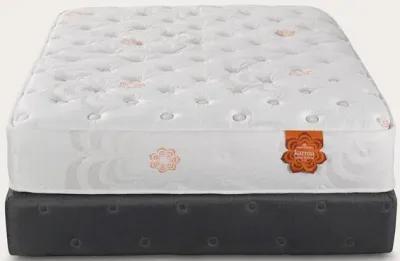 PranaSleep Karma Select 2 Hybrid Plush Mattress - Twin