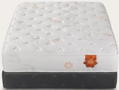 PranaSleep Karma Select 2 Hybrid Super Cush Mattress - Twin