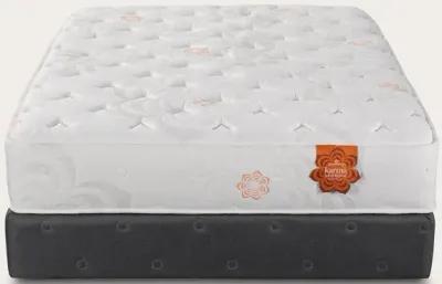 PranaSleep Karma Select 2 Hybrid Super Cush Mattress - Twin