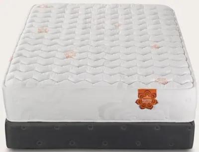 PranaSleep Karma Elite 2 Hybrid Firm Mattress Handcrafted - Full