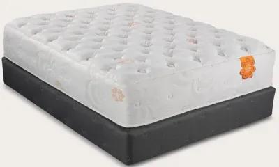 PranaSleep Karma Elite 2 Hybrid Plush Mattress - Twin XL