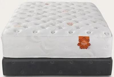 PranaSleep Karma Elite 2 Hybrid Plush Mattress - Twin XL