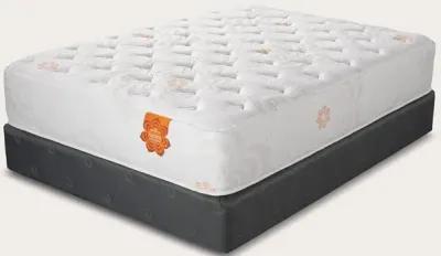 PranaSleep Karma Elite 2 Hybrid Super Cush Mattress - Twin