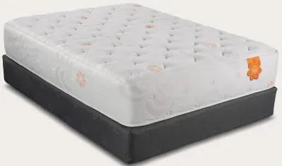 PranaSleep Karma Elite 2 Hybrid Super Cush Mattress - Twin XL