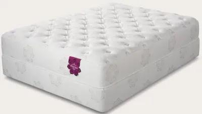 PranaSleep Dharma Classic Plush Mattress - Twin XL