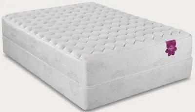 PranaSleep Dharma Select Firm Mattress - King