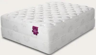 PranaSleep Dharma Select Plush Mattress - Twin XL