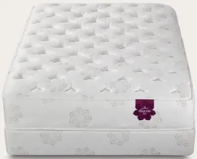 PranaSleep Dharma Luxe Plush Mattress - Twin