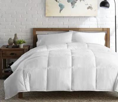 Eddie Bauer Cotton Damask Luxury Down Alternative Comforter - Queen