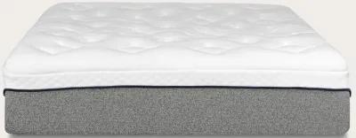 Bed in a Box Primo International Divine Ultra Plush 13-Inch Gel Foam Mattress - King